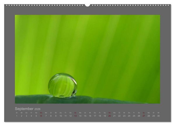 Produktbild: Kleine, gro&szlig;e Tropfenwelt (hochwertiger Premium Wandkalender 2026 DIN A2 quer), Kunstdruck in Hochglanz