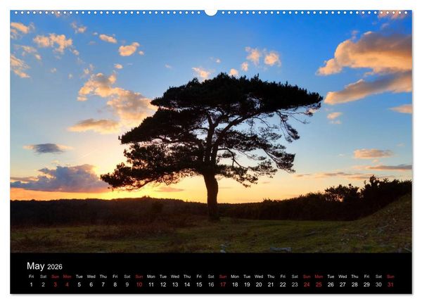 Produktbild: New Forest Hampshire (High Quality Premium Wall Calendar 2026 DIN A2 landscape),CALVENDO 12 Month Wall Calendar