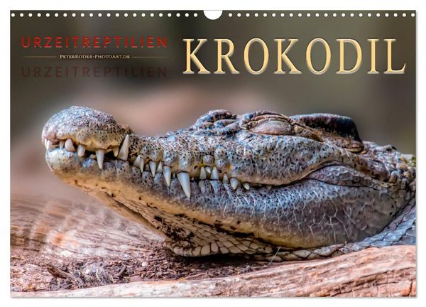 Urzeitreptilien - Krokodil (Wandkalender 2026 DIN A3 quer), CALVENDO Monatskalender