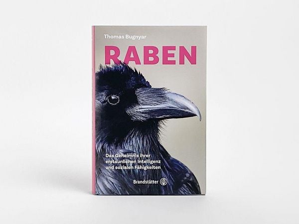 Produktbild: Raben