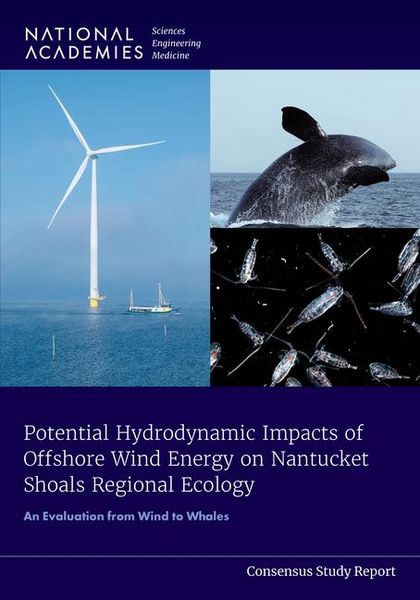 Produktbild: Potential Hydrodynamic Impacts of Offshore Wind Energy on Nantucket Shoals Regional Ecology