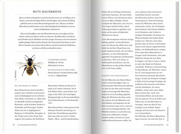 Produktbild: Unsere Wildbienen
