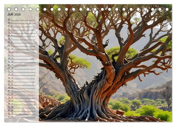 Produktbild: Magische Momente mit Naturspektakeln (Tischkalender 2026 DIN A5 quer), CALVENDO Monatskalender