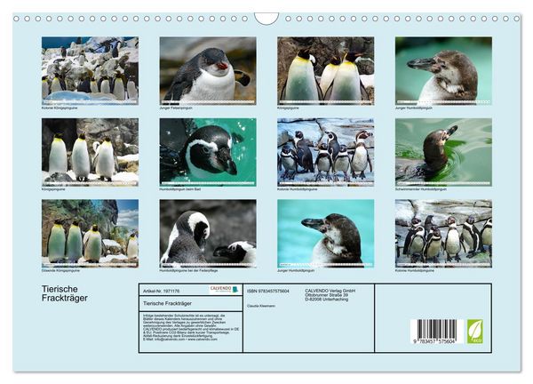 Produktbild: Tierische Fracktr&auml;ger (Wandkalender 2026 DIN A3 quer), CALVENDO Monatskalender