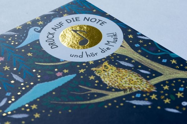 Produktbild: Peter Tschaikowsky. Schwanensee
