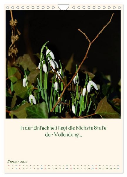 Produktbild: Mit Blumen durchs Jahr (Wandkalender 2026 DIN A4 hoch), CALVENDO Monatskalender