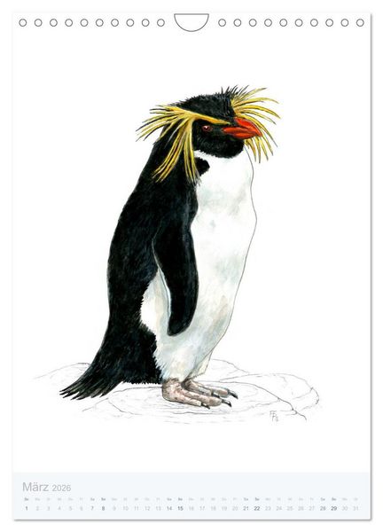 Produktbild: Pinguine - 13 Illustrationen (Wandkalender 2026 DIN A4 hoch), CALVENDO Monatskalender