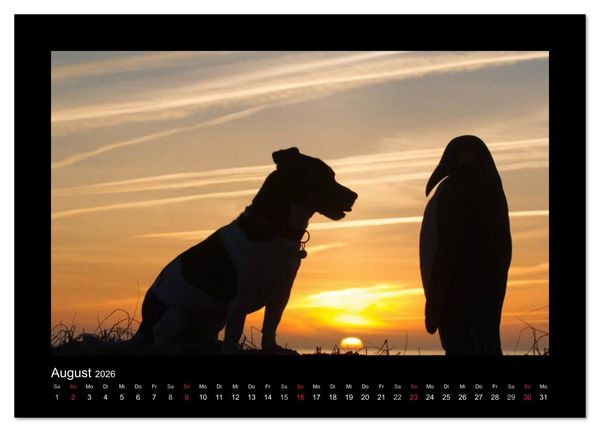 Produktbild: Jack Russell Terrier.....Ein Verwandlungsk&uuml;nstler namens Jake (hochwertiger Premium Wandkalender 2026 DIN A2 quer), Kunstdruck in Hochglanz