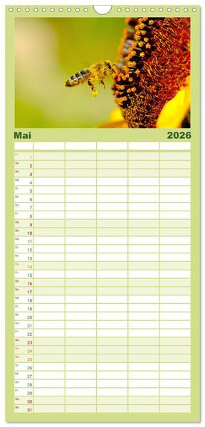 Produktbild: Familienplaner 2026 - Die Welt der flei&szlig;igen Bienen mit 5 Spalten (Wandkalender, 21 x 45 cm) CALVENDO