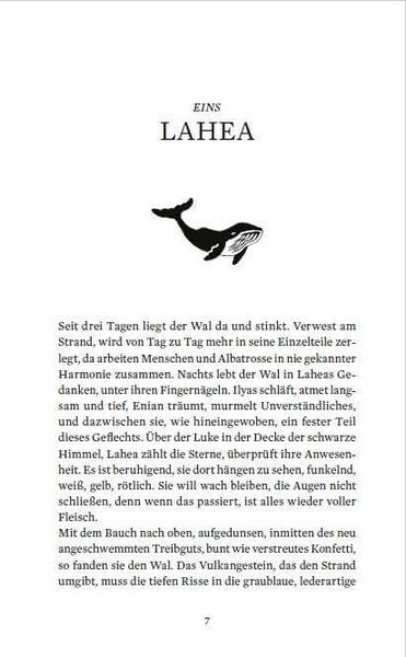 Produktbild: LAHEA