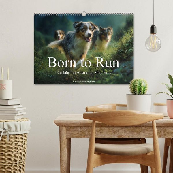 Produktbild: Born to run - Ein Jahr mit Australian Shepherds (Wandkalender 2027 DIN A3 quer), CALVENDO Monatskalender