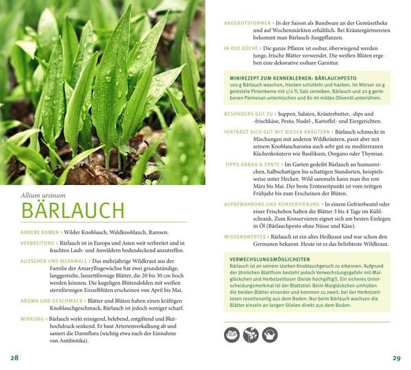 Produktbild: Kräuter