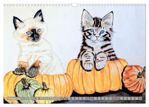 Produktbild: Beautiful cat portraits (Wall Calendar 2026 DIN A3 landscape), CALVENDO 12 Month Wall Calendar