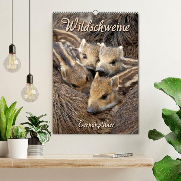Produktbild: Wildschweine (Wandkalender 2026 DIN A2 hoch), CALVENDO Monatskalender