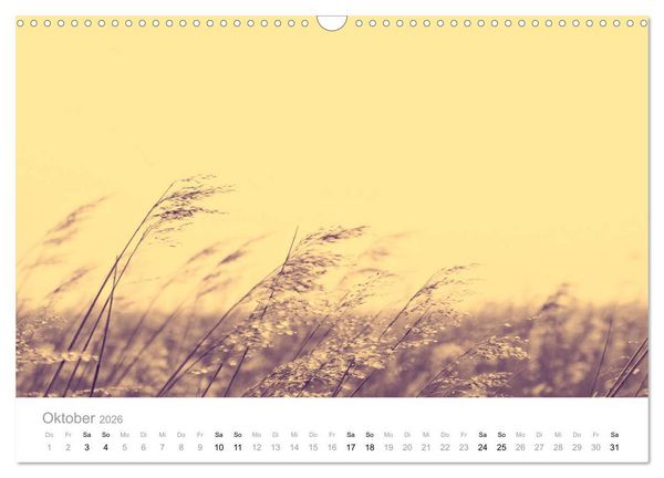 Produktbild: Farbrausch - die Welt in Pastell (Wandkalender 2026 DIN A3 quer), CALVENDO Monatskalender