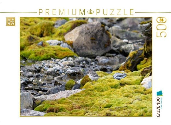 CALVENDO Puzzle Meerstrandläufer | 500 Teile Lege-Größe 48 × 36 cm Foto-Puzzle für Erwachsene