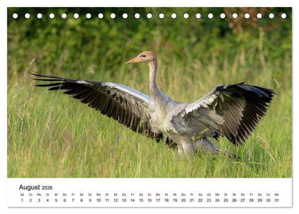 Produktbild: Kraniche im Erzgebirge (Tischkalender 2026 DIN A5 quer), CALVENDO Monatskalender