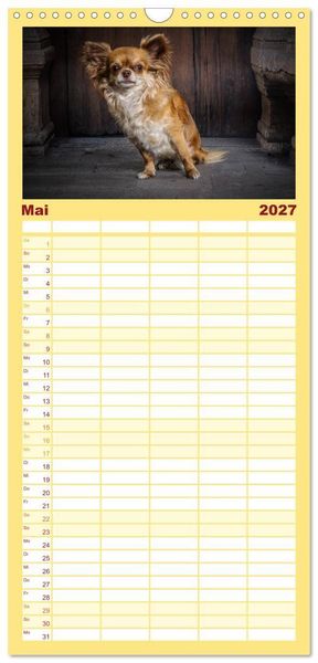 Produktbild: Familienplaner 2027 - Chihuahuas - Cool and Cute mit 5 Spalten (Wandkalender, 21 x 45 cm) CALVENDO