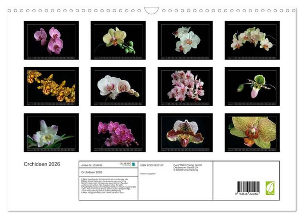 Produktbild: Orchideen 2026 (Wandkalender 2026 DIN A3 quer), CALVENDO Monatskalender