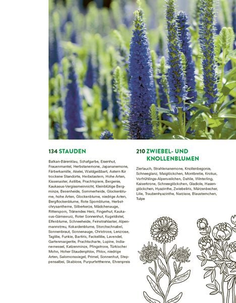 Produktbild: Das gro&szlig;e Buch der Stauden und Sommerblumen