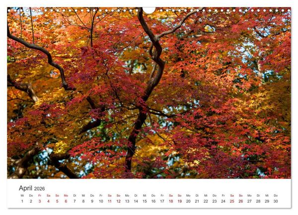 Produktbild: Japanischer Herbst und Laub (Wandkalender 2026 DIN A3 quer), CALVENDO Monatskalender