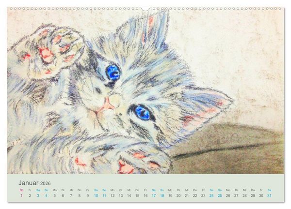 Produktbild: KATZEN PortraiTierART (Wandkalender 2026 DIN A2 quer), CALVENDO Monatskalender