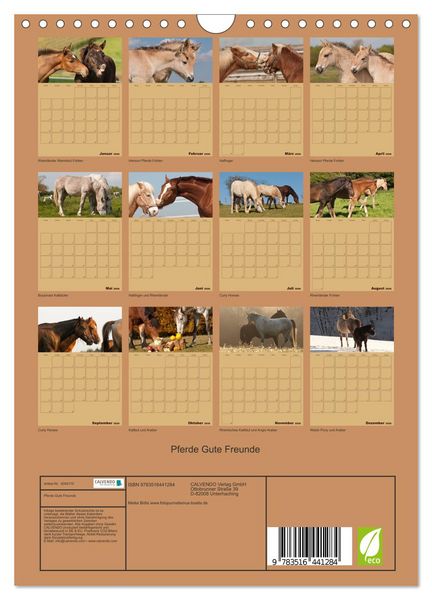 Produktbild: Pferde Gute Freunde (Wandkalender 2026 DIN A4 hoch), CALVENDO Monatskalender