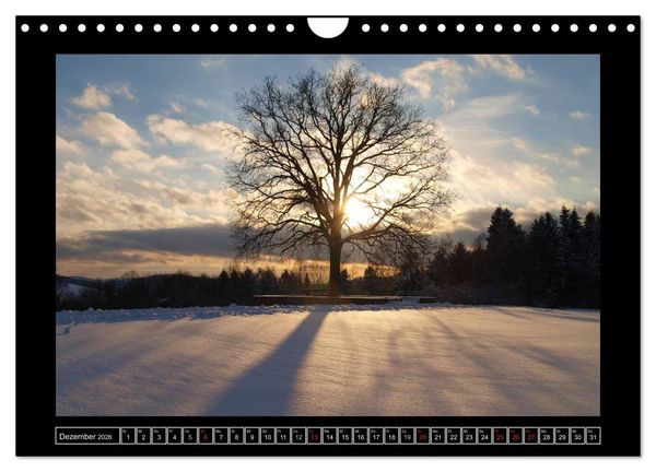Produktbild: Odenwald - Landschaft sehen (Wandkalender 2026 DIN A4 quer), CALVENDO Monatskalender