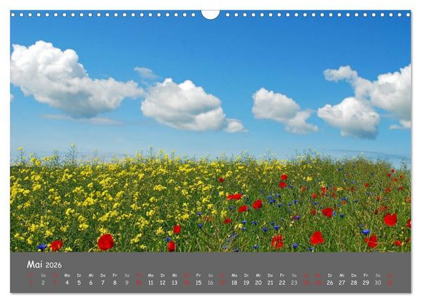 Produktbild: Wundersch&ouml;ne Landschaften des Nordens (Wandkalender 2026 DIN A3 quer), CALVENDO Monatskalender