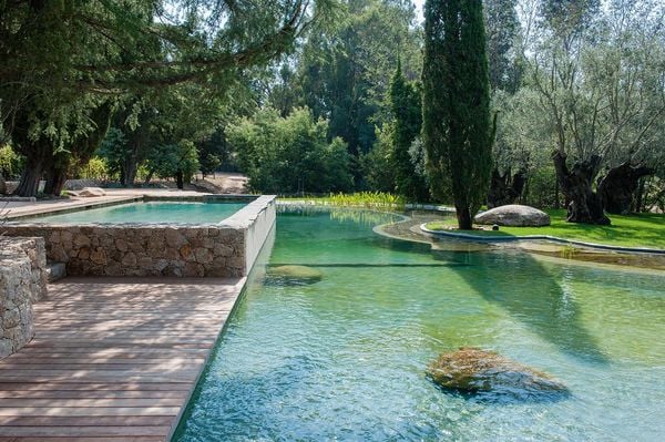 Produktbild: Wasser im Garten 2