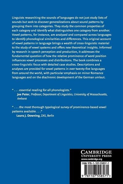 Produktbild: Vowel Patterns in Language