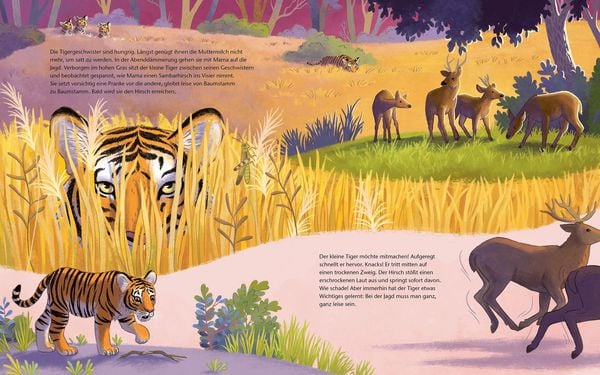 Produktbild: Der kleine Tiger - Zu Hause in Indien