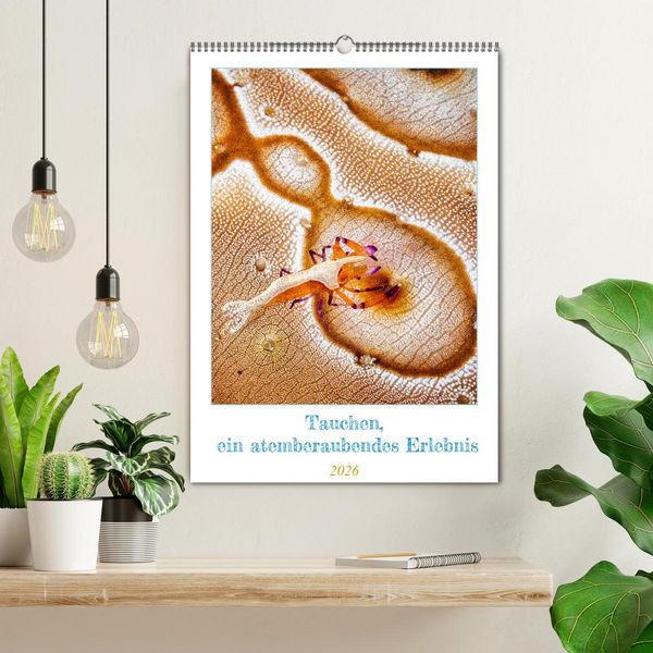 Produktbild: Tauchen, ein atemberaubendes Erlebnis (Wandkalender 2026 DIN A2 hoch), CALVENDO Monatskalender