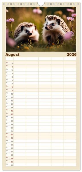 Produktbild: Familienplaner 2026 - Igel - Wildtier des Jahres 2024 mit 5 Spalten (Wandkalender, 21 x 45 cm) CALVENDO