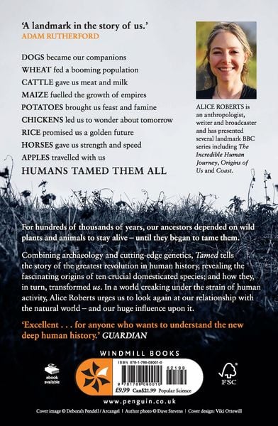 Produktbild: Tamed