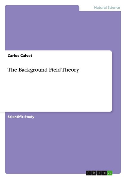 Produktbild: The Background Field Theory