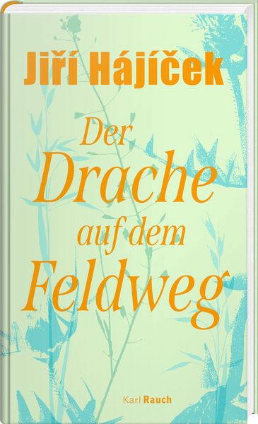 Produktbild: Der Drache auf dem Feldweg