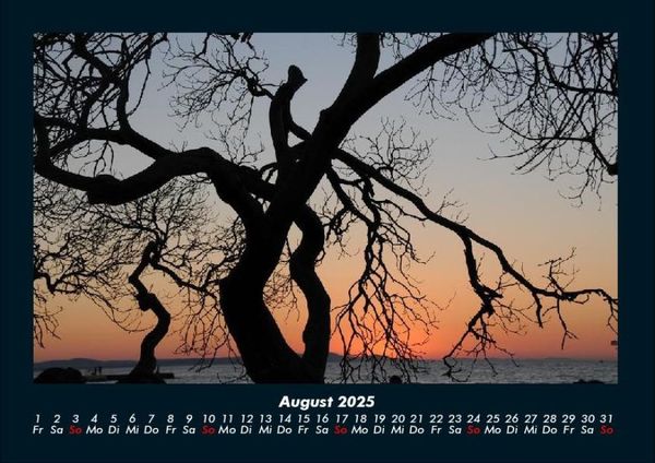 Produktbild: B&auml;ume 2025 Fotokalender DIN A4