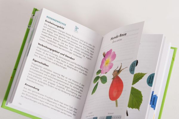 Produktbild: Anaconda Taschenf&uuml;hrer Heilpflanzen. 70 Arten entdecken und bestimmen