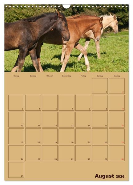 Produktbild: Pferde Gute Freunde (Wandkalender 2026 DIN A3 hoch), CALVENDO Monatskalender