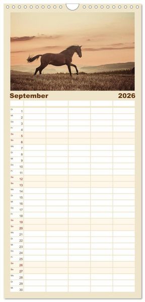 Produktbild: Familienplaner 2026 - Spiegel deiner Seele mit 5 Spalten (Wandkalender, 21 x 45 cm) CALVENDO