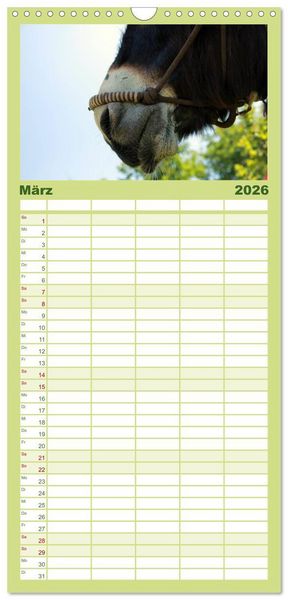 Produktbild: Familienplaner 2026 - Esel - liebenswerte Langohren mit 5 Spalten (Wandkalender, 21 x 45 cm) CALVENDO