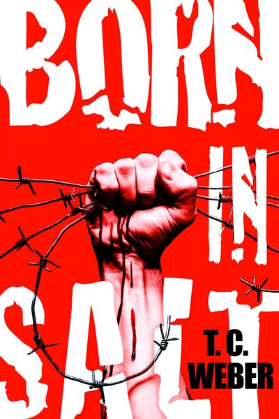 Produktbild: Born in Salt