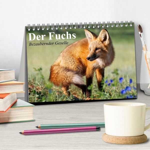 Produktbild: Der Fuchs. Bezaubernder Geselle (Tischkalender 2026 DIN A5 quer), CALVENDO Monatskalender