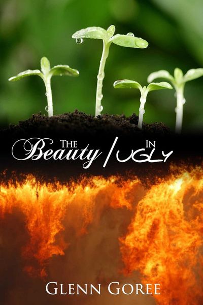 Produktbild: The Beauty in Ugly