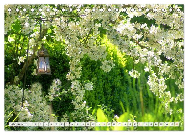 Produktbild: Momente im Garten (Tischkalender 2027 DIN A5 quer), CALVENDO Monatskalender