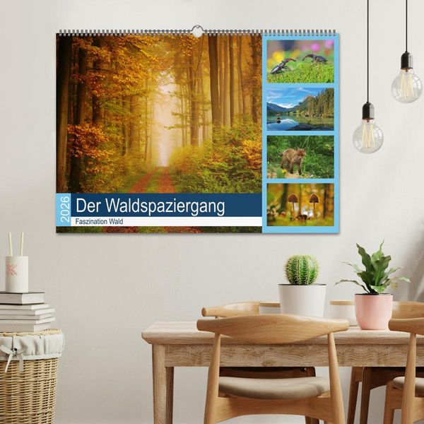 Produktbild: Der Waldspaziergang (Wandkalender 2026 DIN A2 quer), CALVENDO Monatskalender