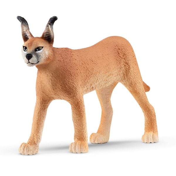 Produktbild: schleich&reg; 14867 - Wild Life, Karakal Weibchen, Raubkatze, Tierfigur
