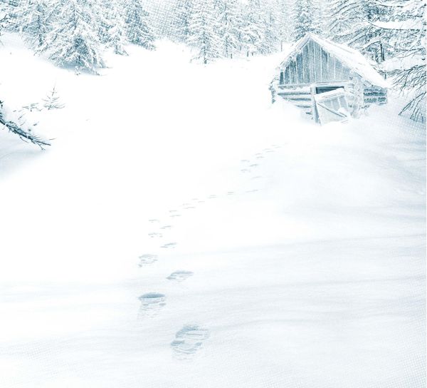 Produktbild: Kant und der sechste Winter