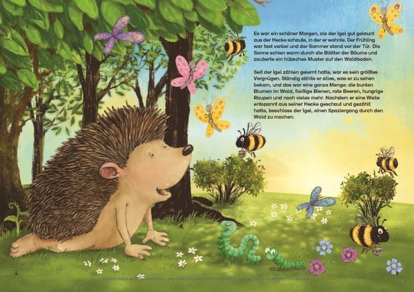 Produktbild: Der Igel, der jede Menge z&auml;hlen konnte